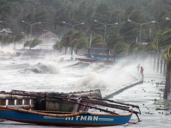 RoK helps Vietnam modernise disaster forecasting, warning system - ảnh 1